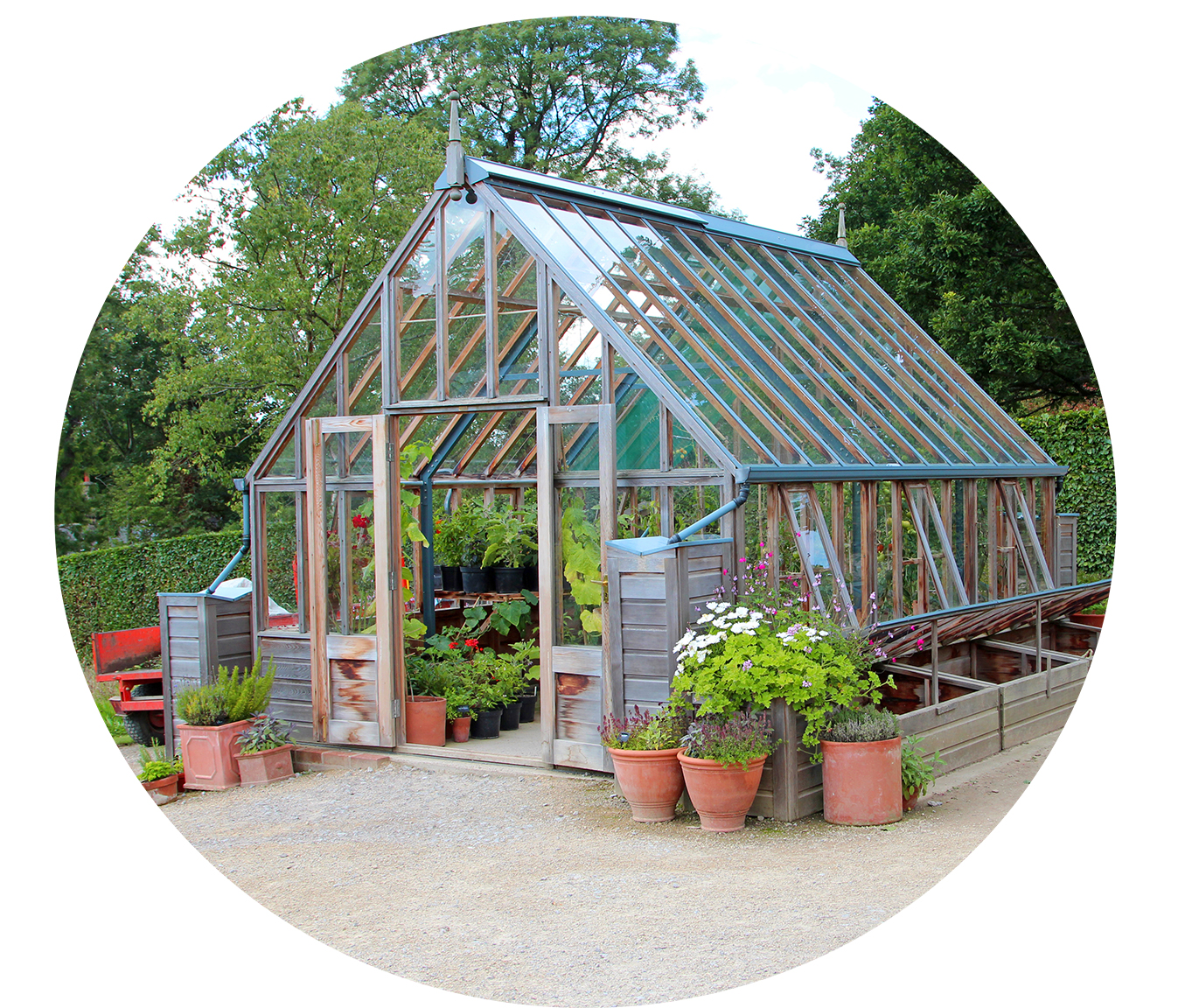 sm greenhouse with plants | The 1909 Culinary Academy